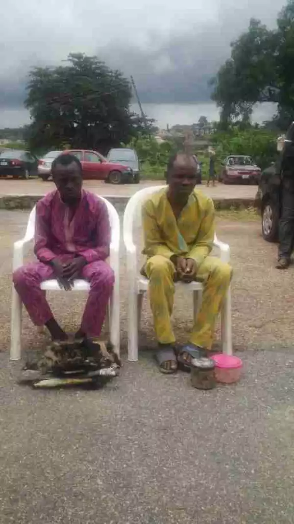 Photos Of 2 Suspected Ritualists Arrested With Human Flesh In Oyo State